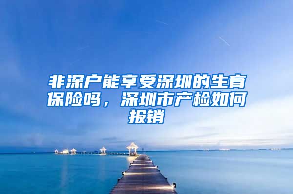 非深户能享受深圳的生育保险吗，深圳市产检如何报销