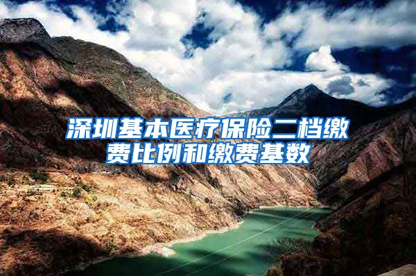 深圳基本医疗保险二档缴费比例和缴费基数