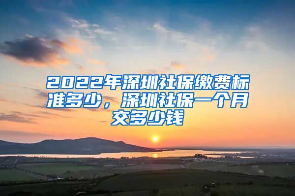 2022年深圳社保缴费标准多少，深圳社保一个月交多少钱