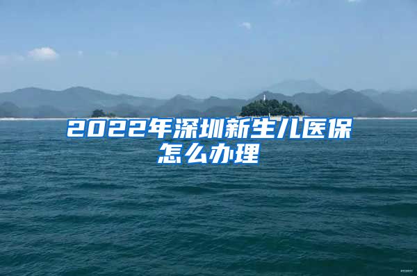 2022年深圳新生儿医保怎么办理