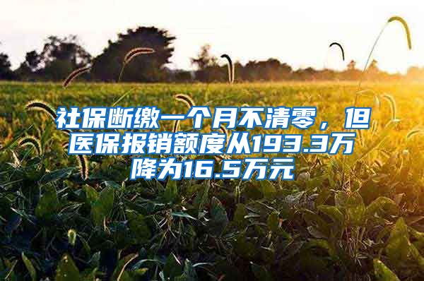 社保断缴一个月不清零，但医保报销额度从193.3万降为16.5万元