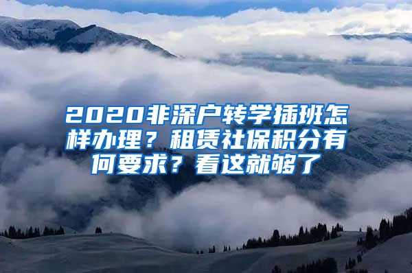 2020非深户转学插班怎样办理？租赁社保积分有何要求？看这就够了