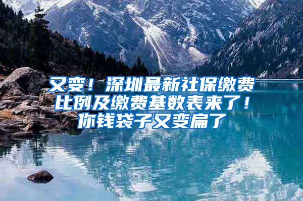 又变！深圳最新社保缴费比例及缴费基数表来了！你钱袋子又变扁了