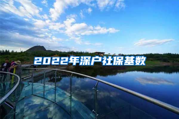 2022年深户社保基数