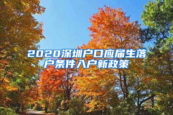 2020深圳户口应届生落户条件入户新政策