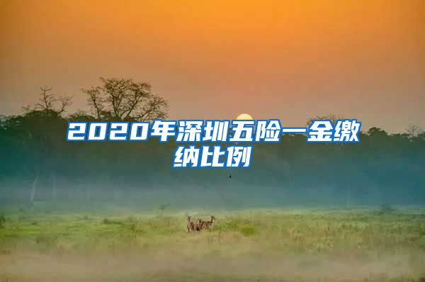 2020年深圳五险一金缴纳比例