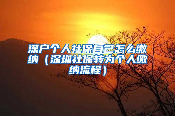 深户个人社保自己怎么缴纳（深圳社保转为个人缴纳流程）