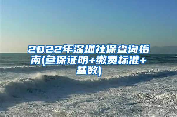 2022年深圳社保查询指南(参保证明+缴费标准+基数)