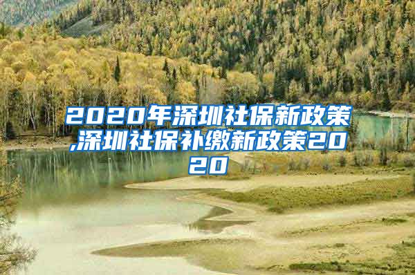 2020年深圳社保新政策,深圳社保补缴新政策2020