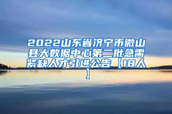 2022山东省济宁市微山县大数据中心第二批急需紧缺人才引进公告【18人】