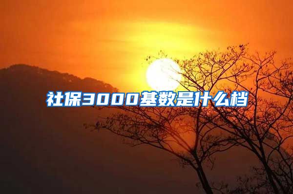 社保3000基数是什么档