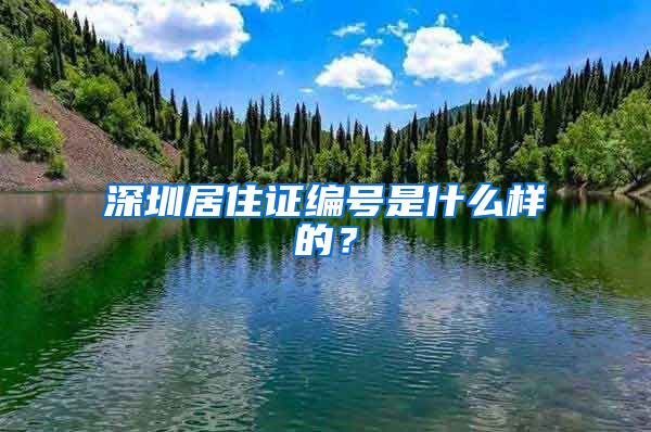 深圳居住证编号是什么样的？