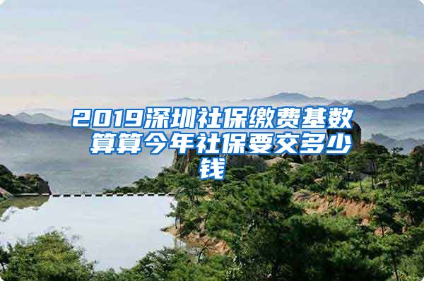 2019深圳社保缴费基数 算算今年社保要交多少钱