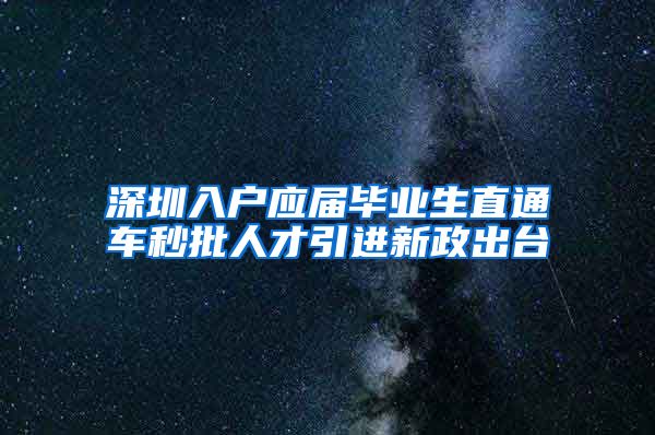 深圳入户应届毕业生直通车秒批人才引进新政出台