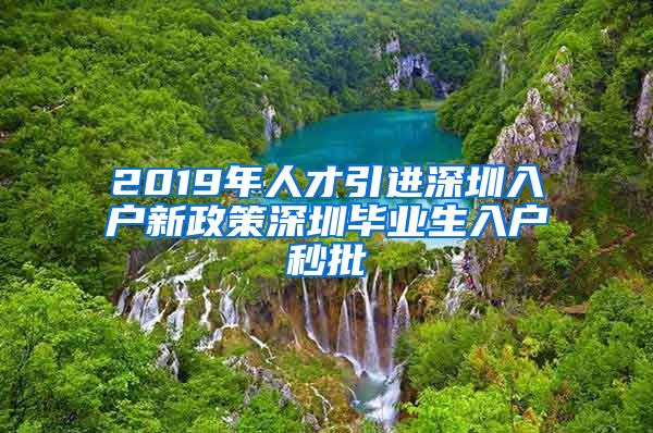 2019年人才引进深圳入户新政策深圳毕业生入户秒批