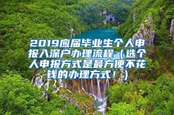 2019应届毕业生个人申报入深户办理流程（选个人申报方式是最方便不花钱的办理方式！）