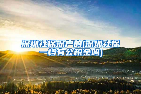 深圳社保深户的(深圳社保一档有公积金吗)