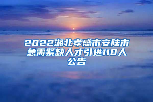 2022湖北孝感市安陆市急需紧缺人才引进110人公告