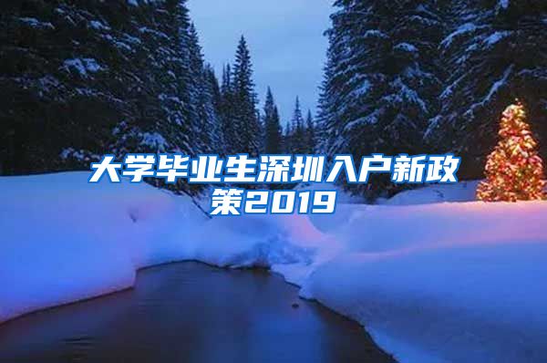 大学毕业生深圳入户新政策2019