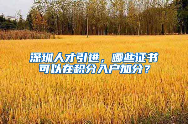 深圳人才引进，哪些证书可以在积分入户加分？