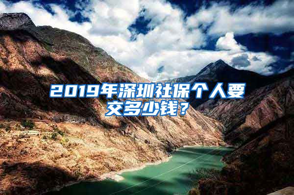 2019年深圳社保个人要交多少钱？