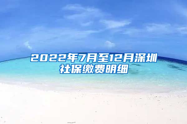 2022年7月至12月深圳社保缴费明细