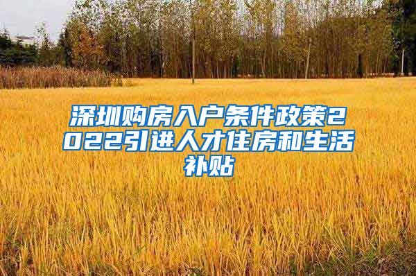 深圳购房入户条件政策2022引进人才住房和生活补贴