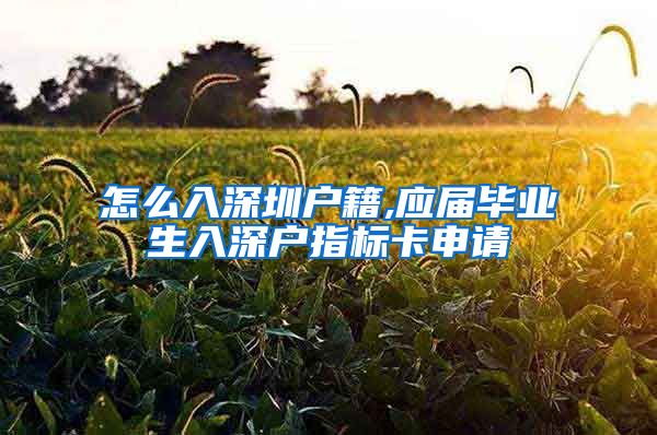 怎么入深圳户籍,应届毕业生入深户指标卡申请