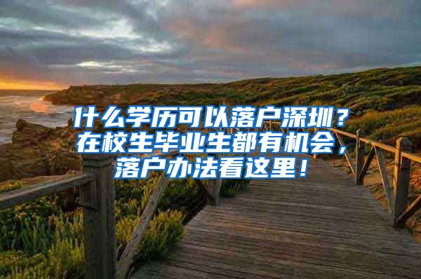 什么学历可以落户深圳？在校生毕业生都有机会，落户办法看这里！