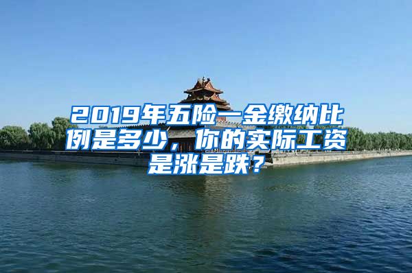 2019年五险一金缴纳比例是多少，你的实际工资是涨是跌？