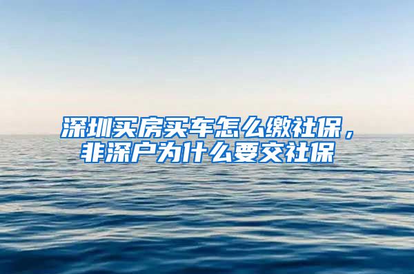 深圳买房买车怎么缴社保，非深户为什么要交社保