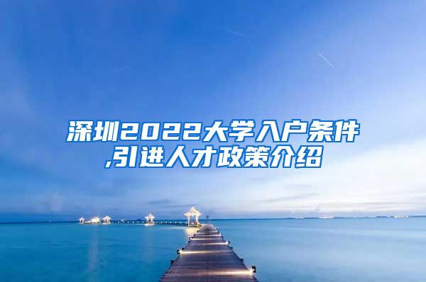 深圳2022大学入户条件,引进人才政策介绍