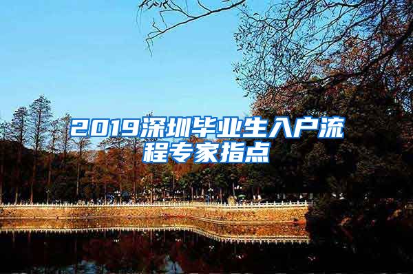 2019深圳毕业生入户流程专家指点