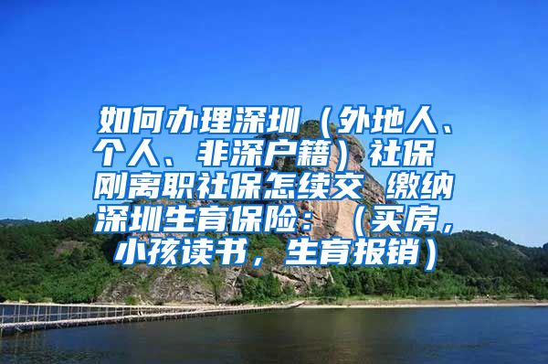 如何办理深圳（外地人、个人、非深户籍）社保 刚离职社保怎续交 缴纳深圳生育保险：（买房，小孩读书，生育报销）