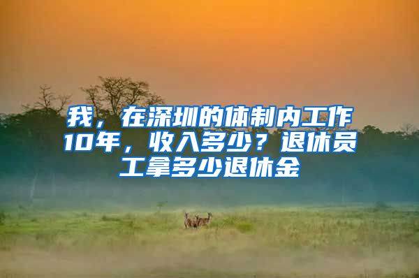 我，在深圳的体制内工作10年，收入多少？退休员工拿多少退休金