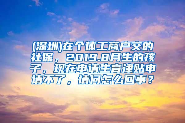 (深圳)在个体工商户交的社保，2019.8月生的孩子，现在申请生育津贴申请不了，请问怎么回事？