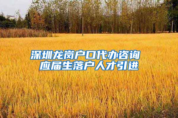 深圳龙岗户口代办咨询 应届生落户人才引进