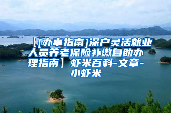 【[办事指南]深户灵活就业人员养老保险补缴自助办理指南】虾米百科-文章-小虾米