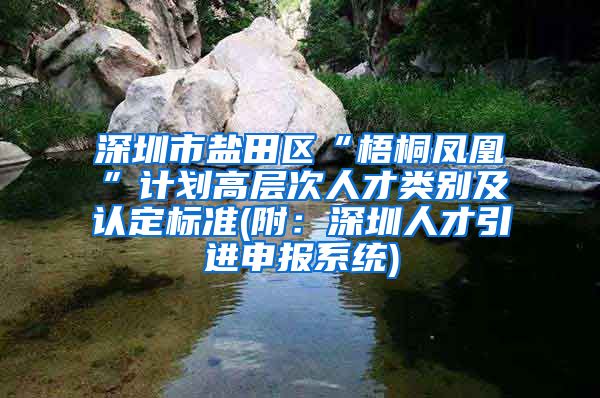 深圳市盐田区“梧桐凤凰”计划高层次人才类别及认定标准(附：深圳人才引进申报系统)