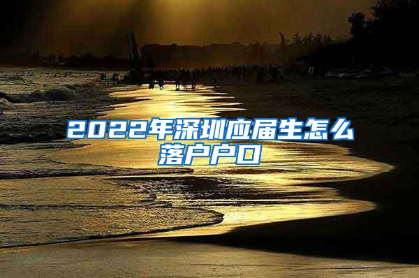 2022年深圳应届生怎么落户户口