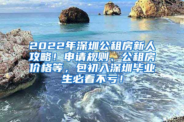 2022年深圳公租房新人攻略！申请规则、公租房价格等，包初入深圳毕业生必看不亏！