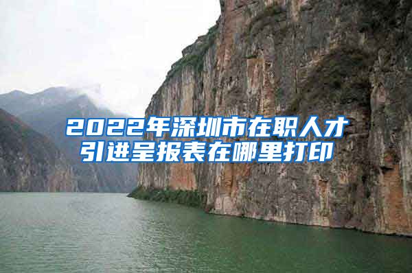 2022年深圳市在职人才引进呈报表在哪里打印