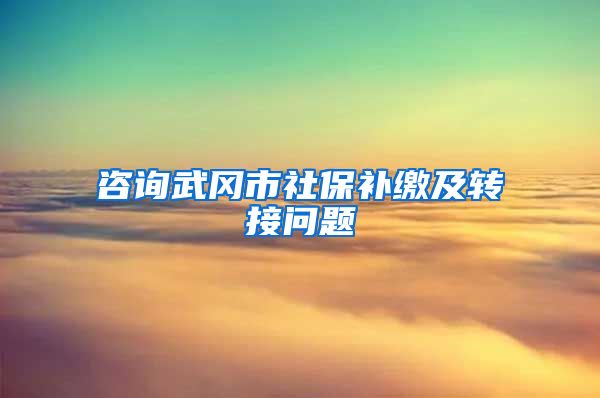 咨询武冈市社保补缴及转接问题