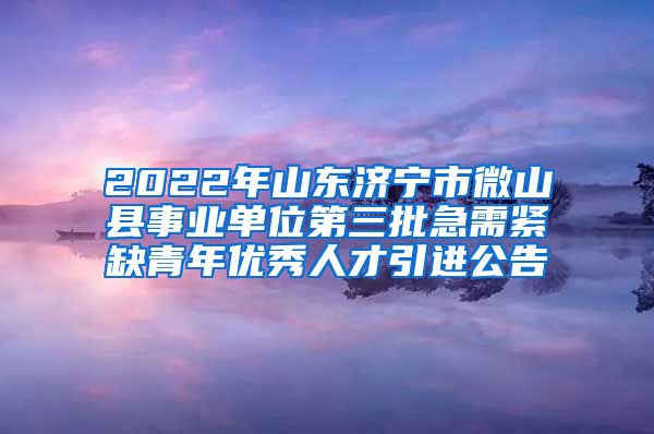 2022年山东济宁市微山县事业单位第三批急需紧缺青年优秀人才引进公告