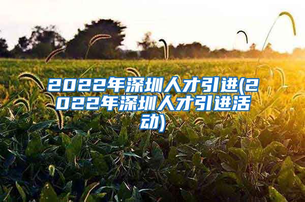 2022年深圳人才引进(2022年深圳人才引进活动)