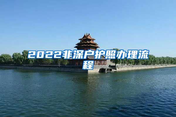 2022非深户护照办理流程