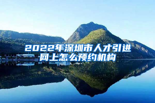 2022年深圳市人才引进网上怎么预约机构