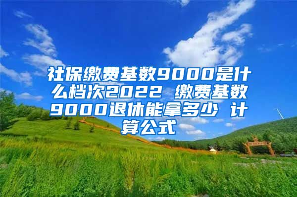 社保缴费基数9000是什么档次2022 缴费基数9000退休能拿多少 计算公式