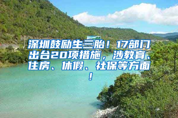 深圳鼓励生三胎！17部门出台20项措施，涉教育、住房、休假、社保等方面！