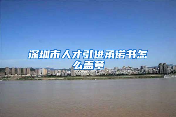 深圳市人才引进承诺书怎么盖章